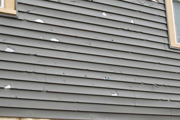 Best Shed Removal  in Lincoln, MO